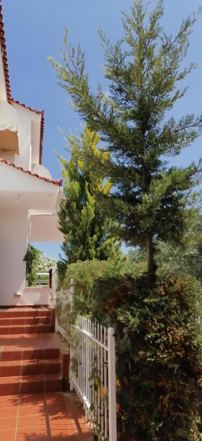 Ευχάριστη Βίλα Στη Χαλκίδα Στην Περιοχή "Αλυκές" Exteriör bild